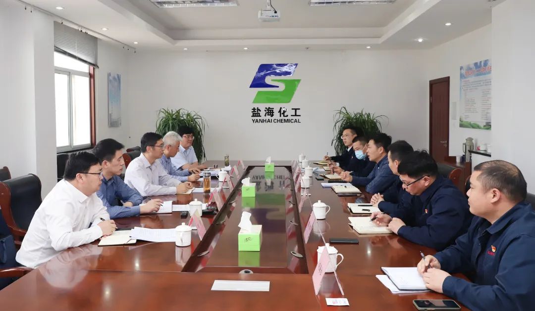 集團黨委書記　董事長章朝陽赴鹽?；す?、瑞泰鹽業(yè)公司調(diào)研