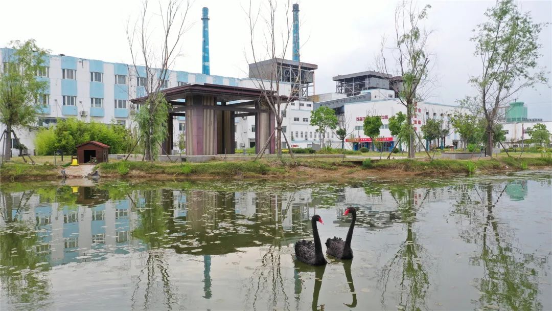 蘇鹽井神公司丨繪就“低碳”底色 擦亮“綠色”名片 蘇鹽井神公司丨繪就“低碳”底色 擦亮“綠色”名片